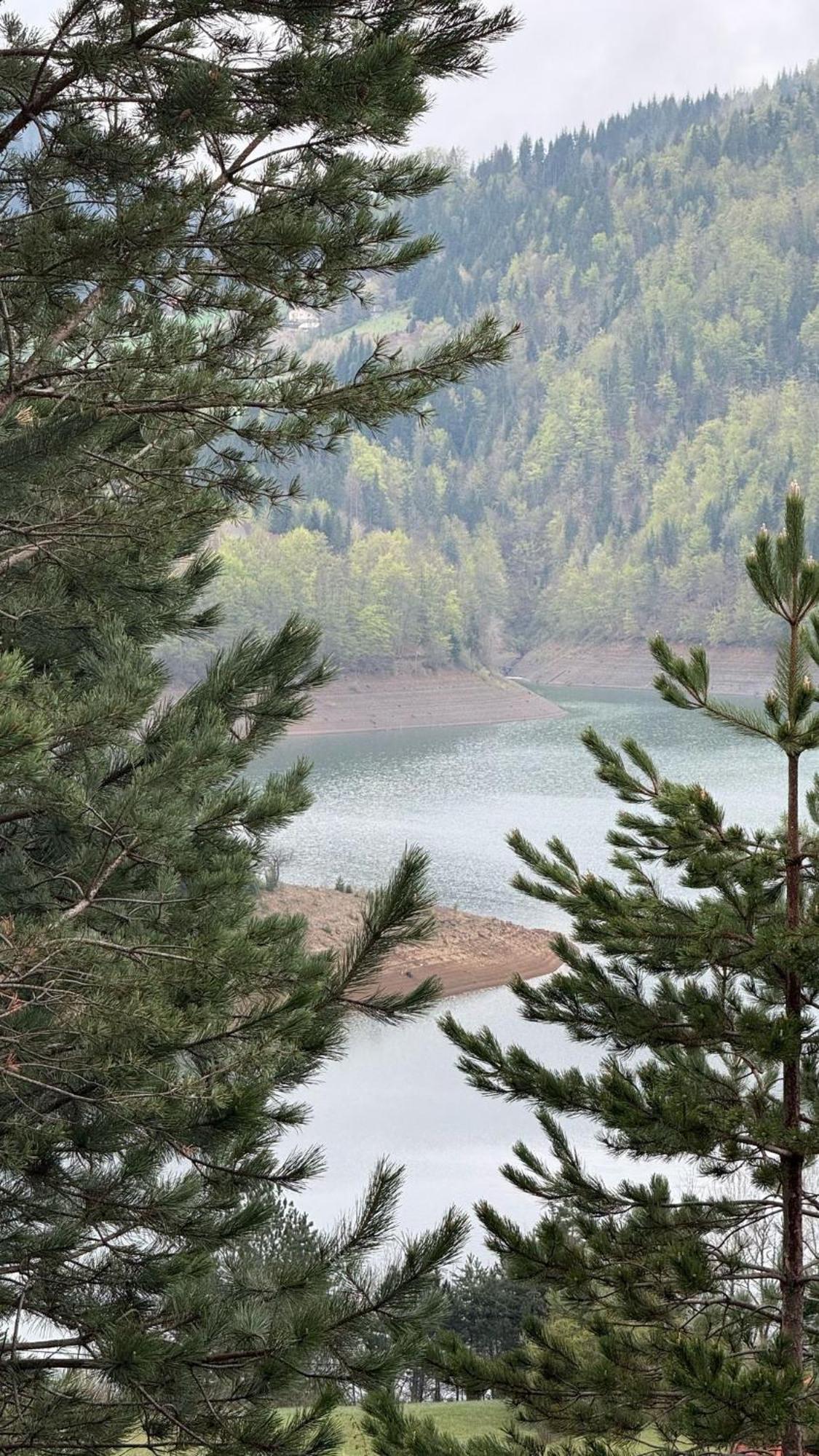 Zaovinska Idila Villa Bjelusa Kültér fotó